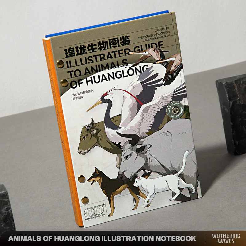 鸣潮 Wuthering Waves Open Beta Gift Set